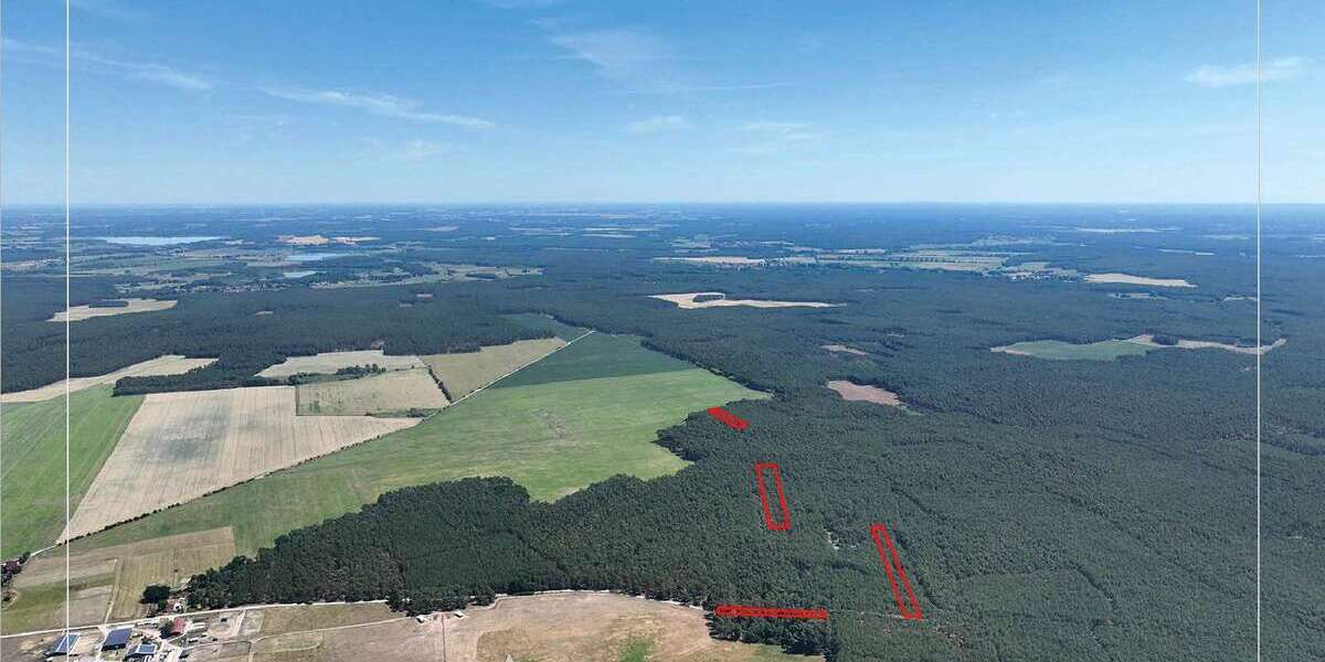 Grundstück Beelitz / Wittbritzen Wittbritzen - 9.900&euro; | Angebot:27180975