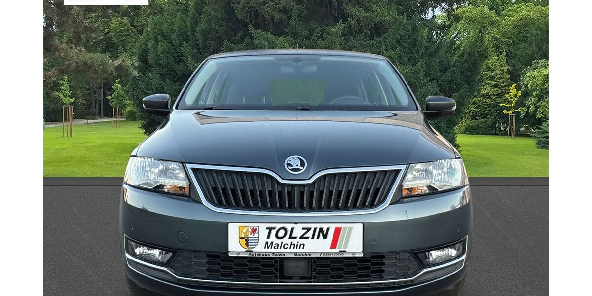Skoda Rapid 103.896 km 10.990 &euro; Malchin 17139