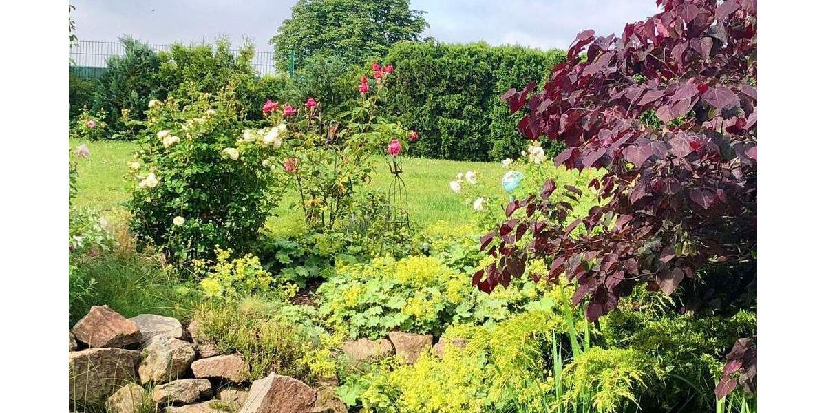 Einfamilienhaus Radeburg Bärnsdorf - 5 Zimmer, 210 m&sup2;, 797.000&euro; | Angebot:25267963