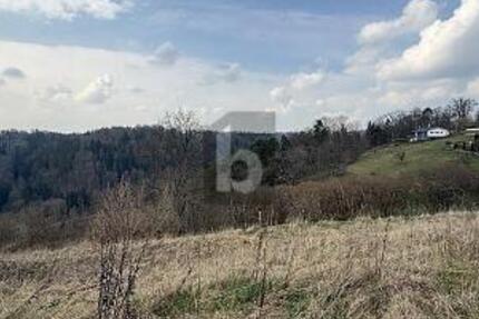 TRAUMHAFTE AUSSICHT MIT VIELEN MÖGLICHKEITEN - Grundstück Wildberg | Angebot:26592463