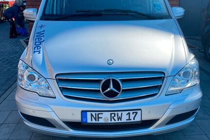 Mercedes Viano