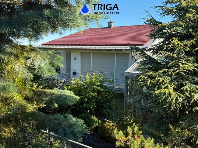 Doppelhaushälfte Nordhausen - 7 Zimmer, 340 m&sup2;, 2.200&euro; | Angebot:22507906