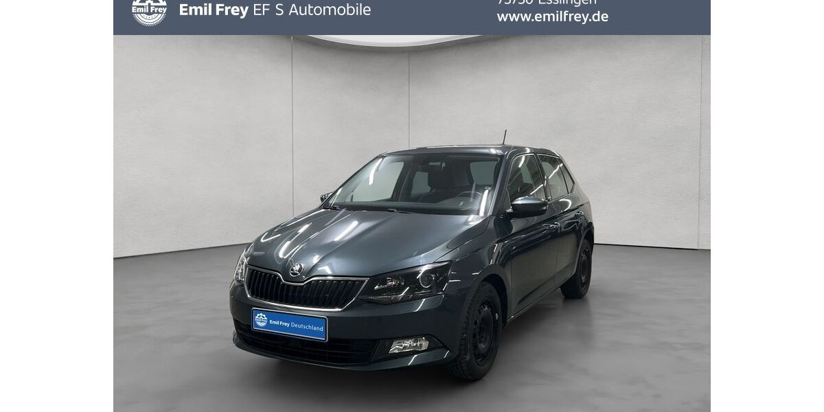 Skoda Fabia 118.280 km 8.890 &euro; Esslingen 73730
