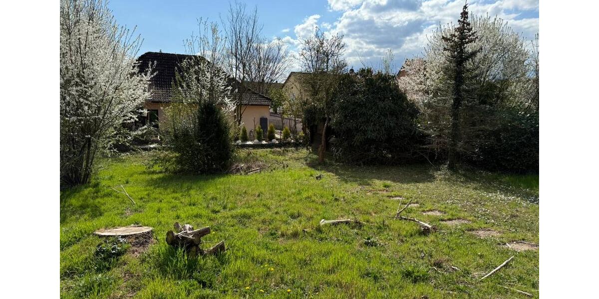 Freistehendes Einfamilienhaus inkl. 2 Appartements in Rüdesheim 6 zimmer