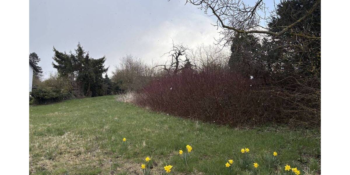 Grundstück Horn-Bad Meinberg Fissenknick - 175.000&euro; | Angebot:26731629