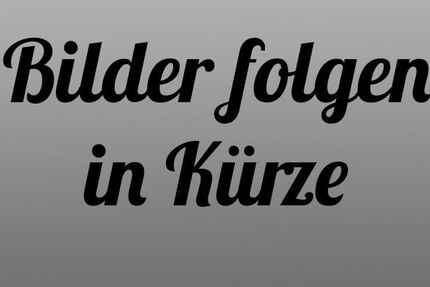 Seat Leon 256.000 km 1.500 &euro; Berlin 10827