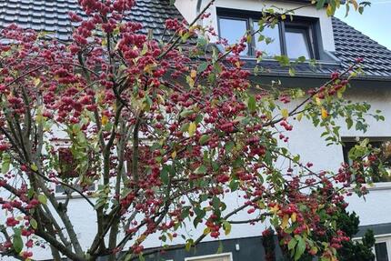 Haus Bergisch Gladbach - 830.000&euro; | Angebot:25086465