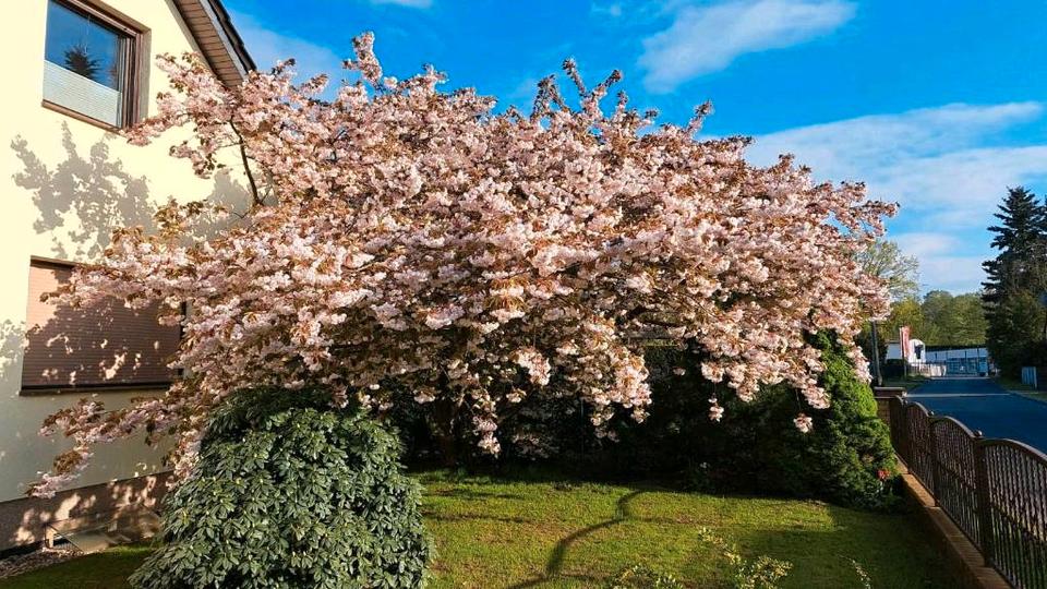 Einfamilienhaus Königs Wusterhausen - 695.000&euro; | Angebot:27004901