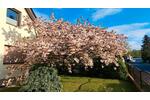 Einfamilienhaus Königs Wusterhausen - 695.000&euro; | Angebot:27004901