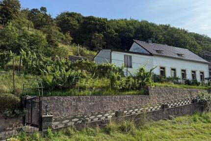 Großzügiges Hanggrundstück mit Altbestand und herrlichem Elbe Blick 5 zimmer