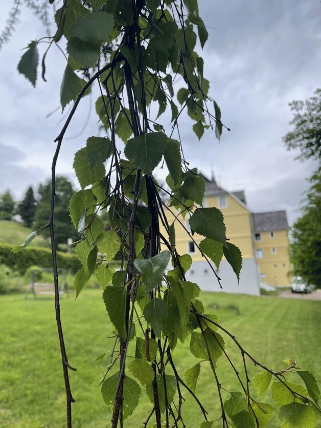 Hotel mit Tennisplatz Nähe Titisee