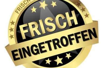 VW Fox 55.250 km 3.950 &euro; Iserlohn 58636