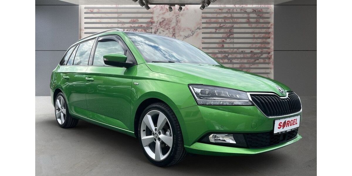 Skoda Fabia 91.800 km 12.190 &euro; Bad Elster 08645