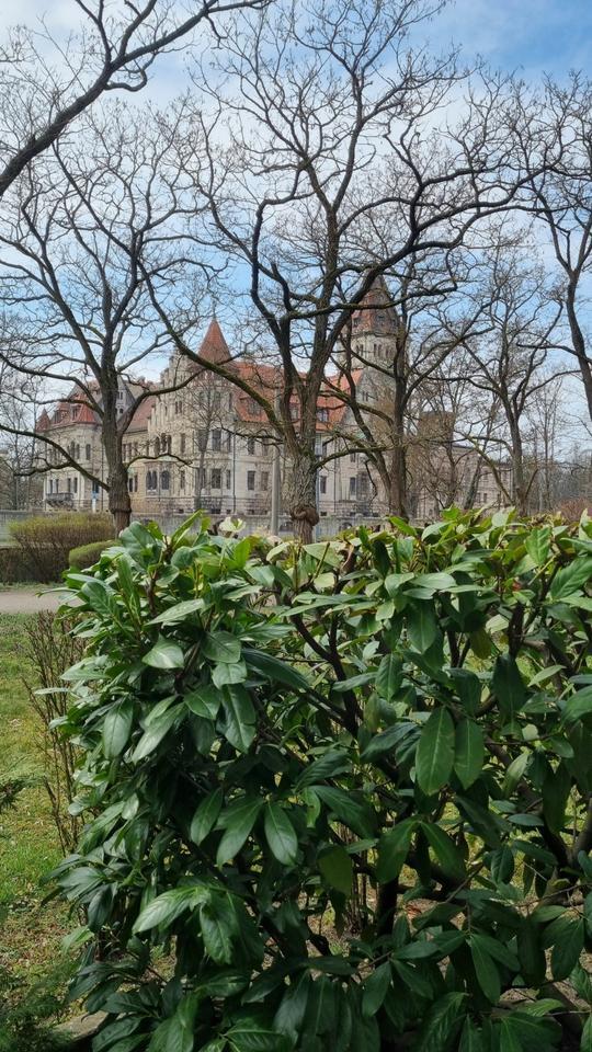 3,5 Zimmer Terrassenwohnung in 1 A Lage, gegenüber Schloss Stein