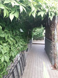 KEINE KÄUFERPROVISION FÄLLIG! - Doppelhaushälfte Templin | Angebot:25970995