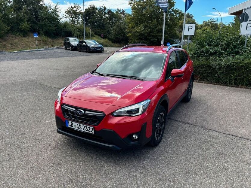 XV