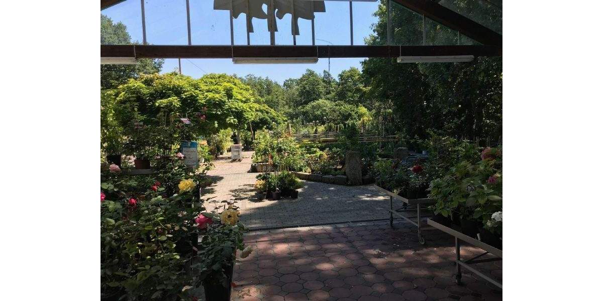 Gewerbeobjekt Bischofswerda Goldbach - 480.000&euro; | Angebot:25726517