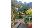 Einfamilienhaus Übach-Palenberg Palenberg - 7 Zimmer, 175 m&sup2;, 495.000&euro; | Angebot:26231165