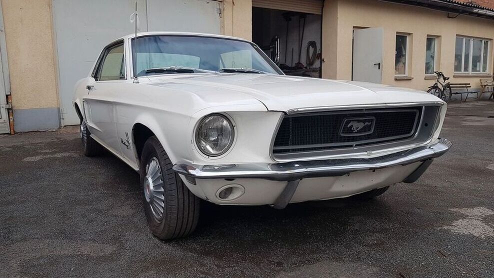 Mustang