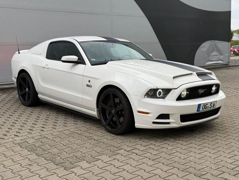 Mustang