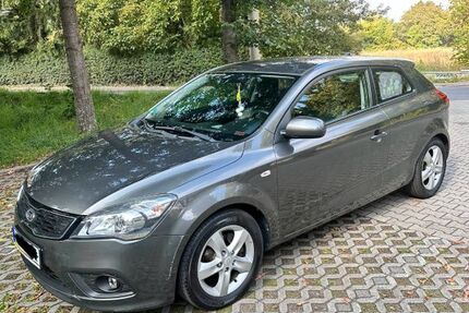 Kia pro ceed / ProCeed 126.200 km 3.500 &euro; Dresden 01279