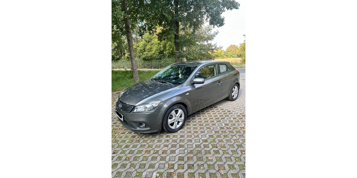 Kia pro ceed / ProCeed 126.200 km 3.500 &euro; Dresden 01279