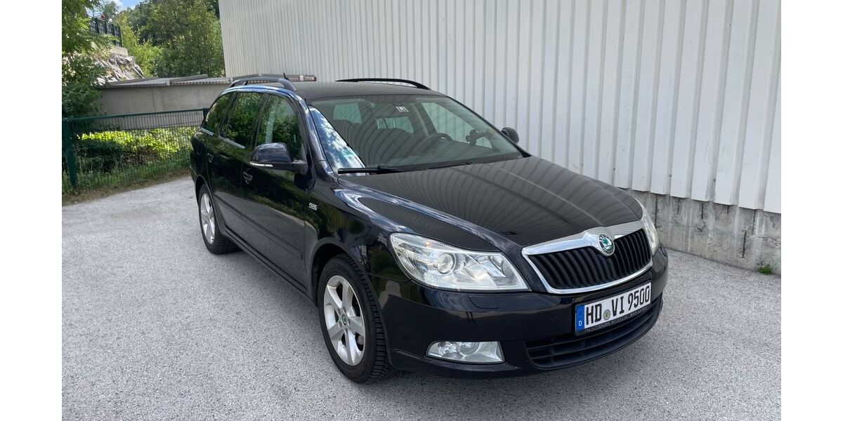 Skoda Octavia 255.000 km 3.990 &euro; Ludwigshafen 67067