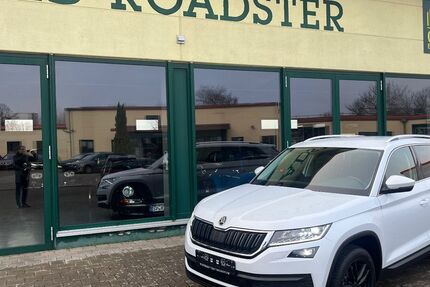 Skoda Kodiaq 163.199 km 20.990 &euro; Landau 76829