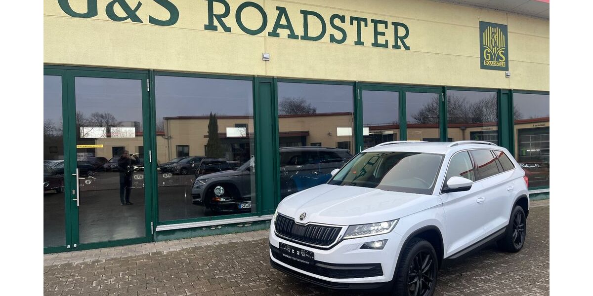 Skoda Kodiaq 163.199 km 20.990 &euro; Landau 76829