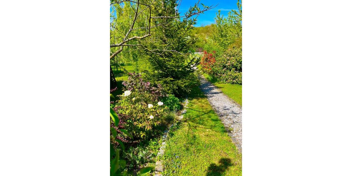 Mehrfamilienhaus, Wohnhaus Wernigerode - 8 Zimmer, 222 m&sup2;, 795.000&euro; | Angebot:26413278