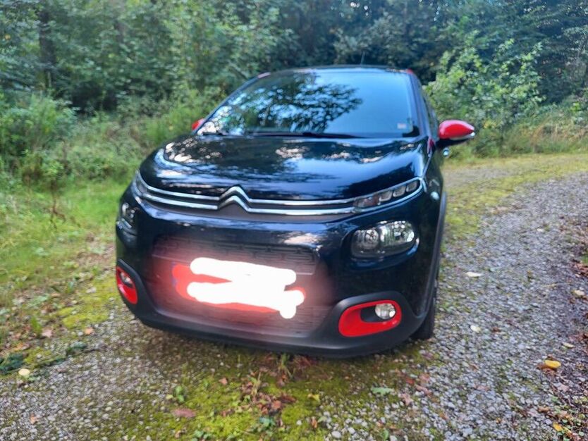 C3