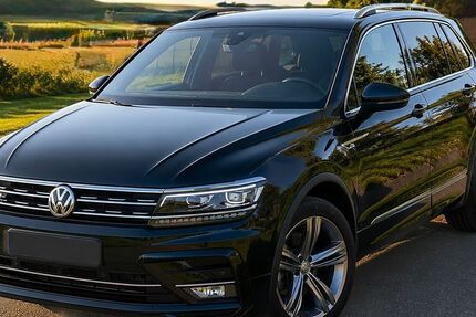 VW Tiguan 123.000 km 24.900 &euro; Blomesche Wildnis 25348