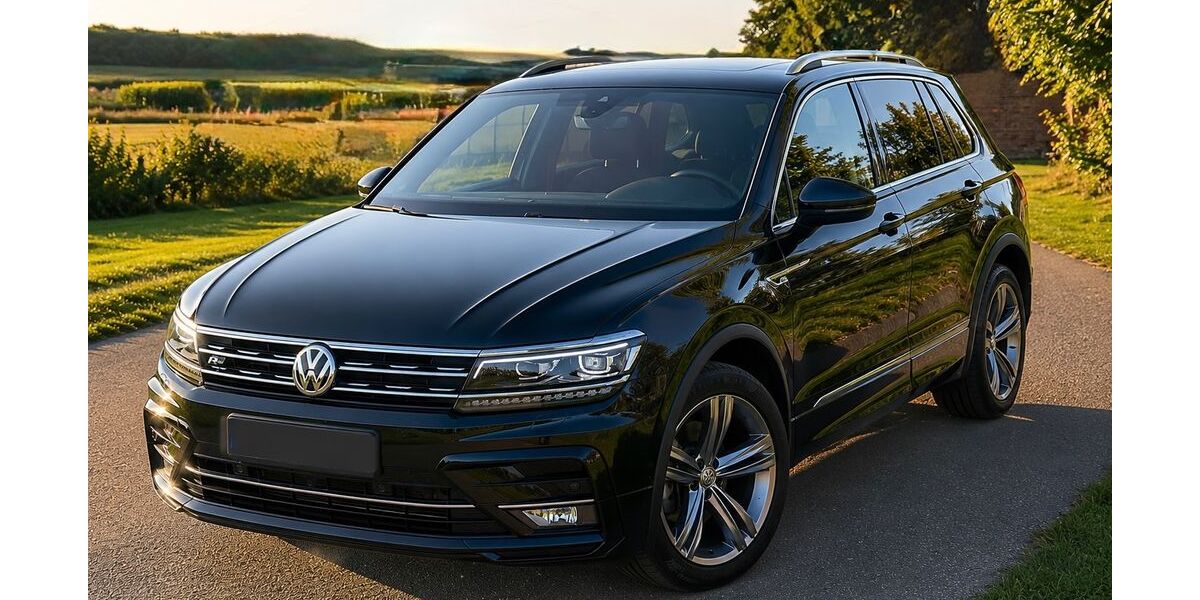 VW Tiguan 123.000 km 24.900 &euro; Blomesche Wildnis 25348