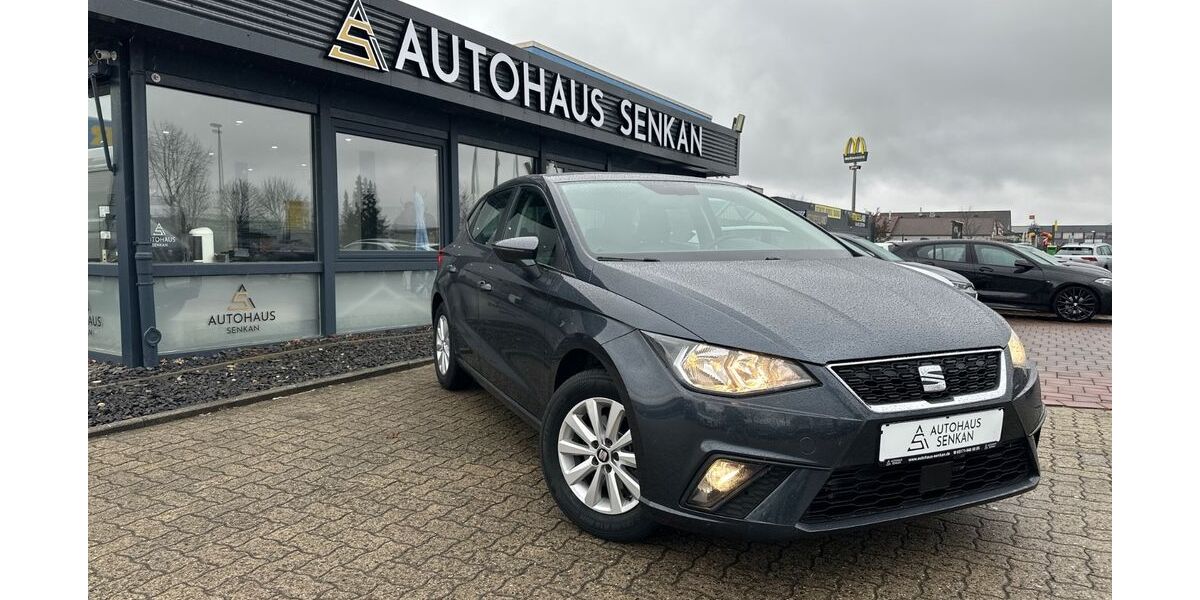 Seat Ibiza 175.000 km 8.990 &euro; Peine 31228