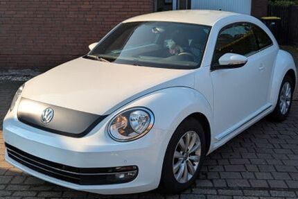 VW Beetle 156.000 km 8.200 &euro; Hage 26524
