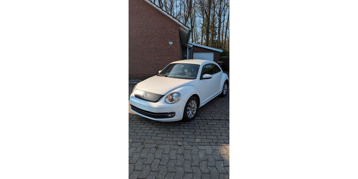 VW Beetle 156.000 km 8.200 &euro; Hage 26524