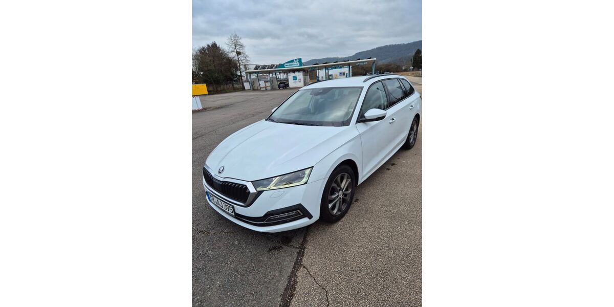 Skoda Octavia 188.000 km 17.000 &euro; Wasserliech 54332