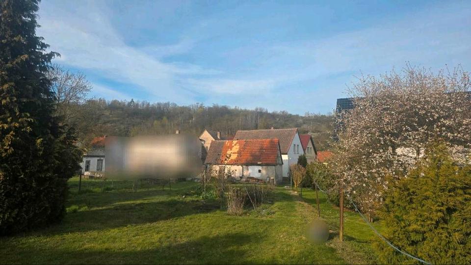Einfamilienhaus Ahlsdorf - 5 Zimmer, 100 m&sup2;, 38.500&euro; | Angebot:26214075