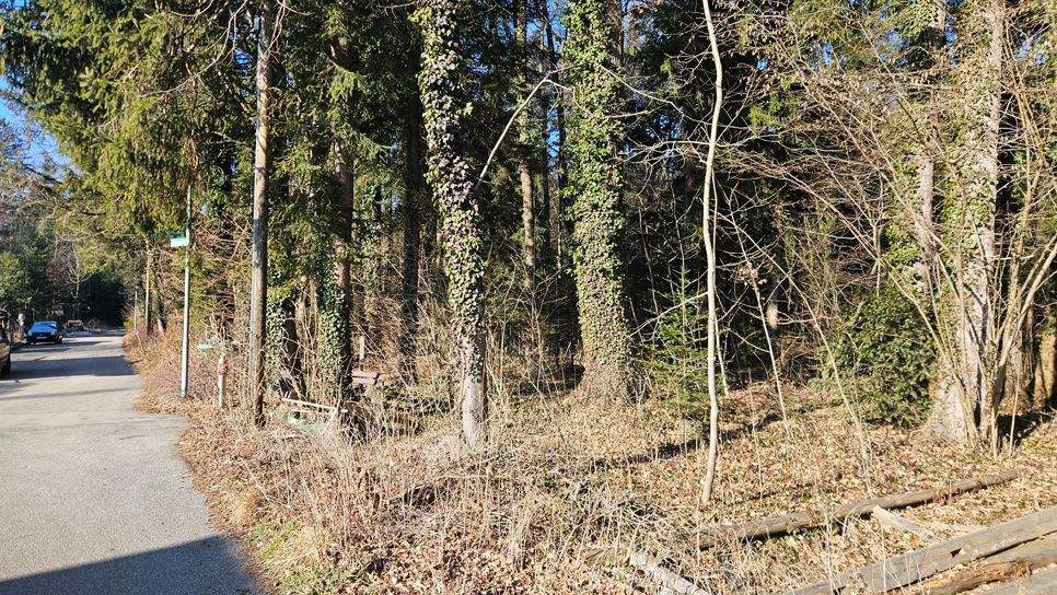 Grundstück Brannenburg - 248.000&euro; | Angebot:25818664