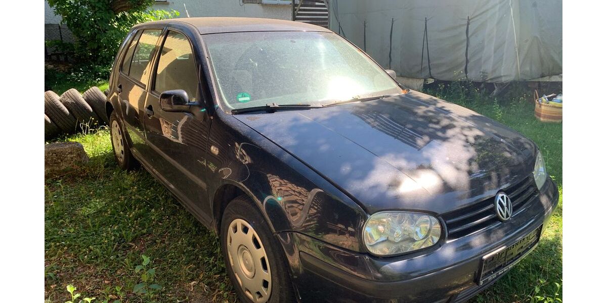 VW Golf 233.500 km 750 &euro; Meißenheim 77974