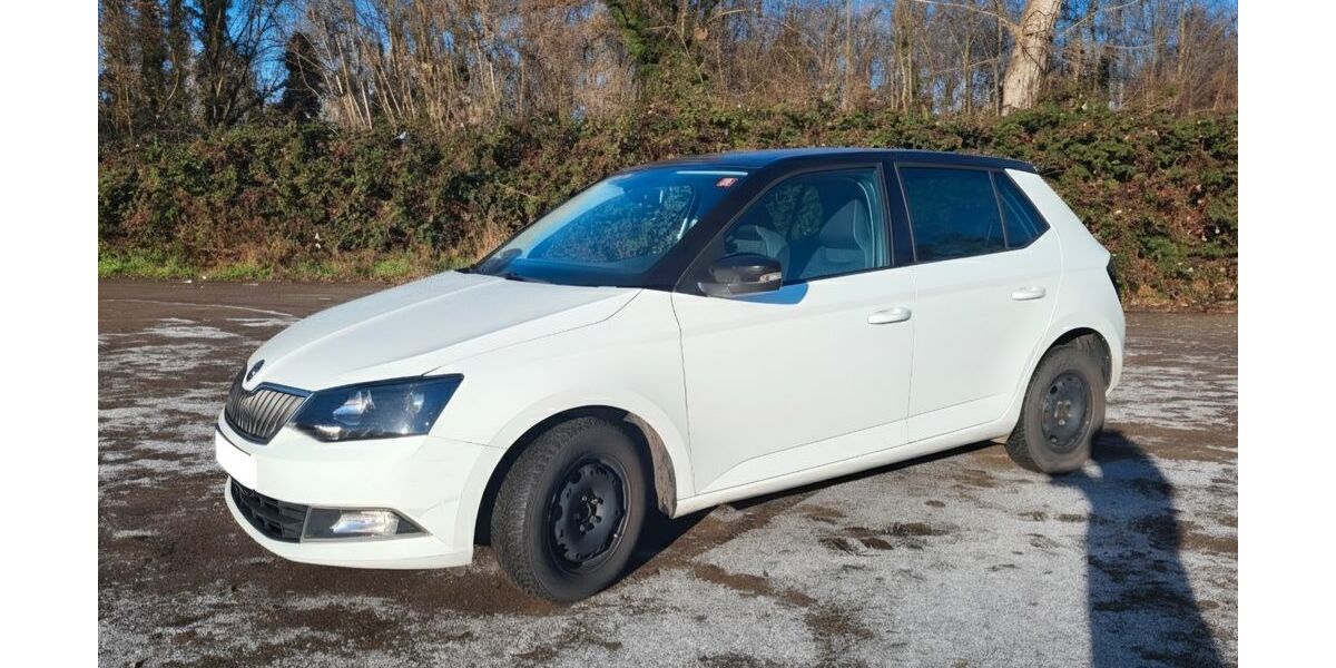 Skoda Fabia 142.000 km 7.490 &euro; Leipzig 04179