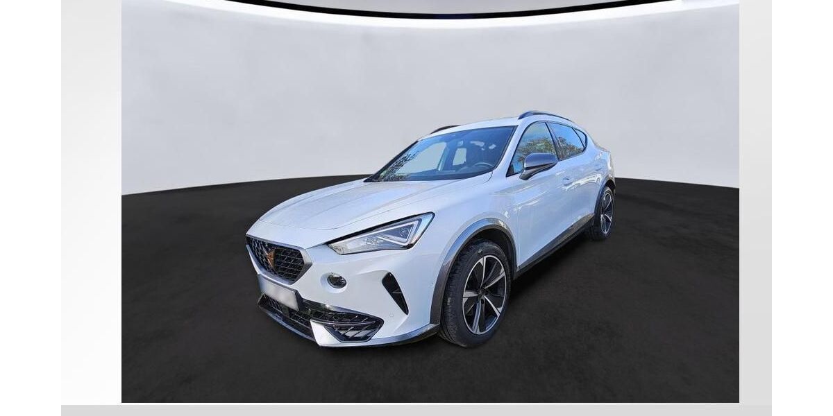 Cupra Formentor 96.500 km 21.490 &euro; Roth 91154