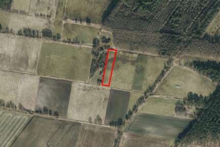 Grundstück in Burgdorf 11.796 € 3932 m² zimmer