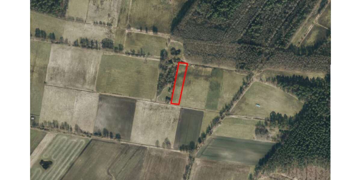 Grundstück in Burgdorf 11.796 € 3932 m² zimmer