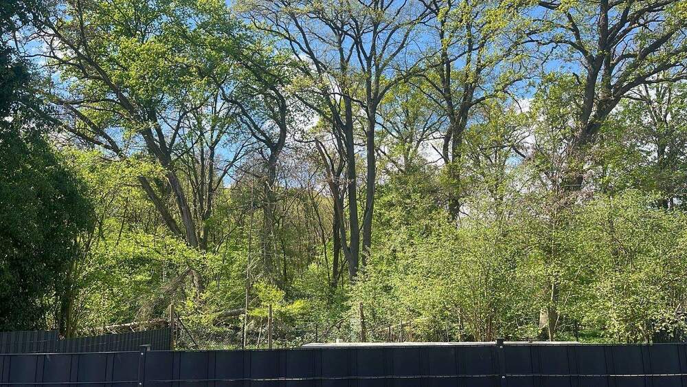 Terrassenwohnung Mühlheim am Main Mühlheim - 3 Zimmer, 105 m&sup2;, 1.700&euro; | Angebot:26319099