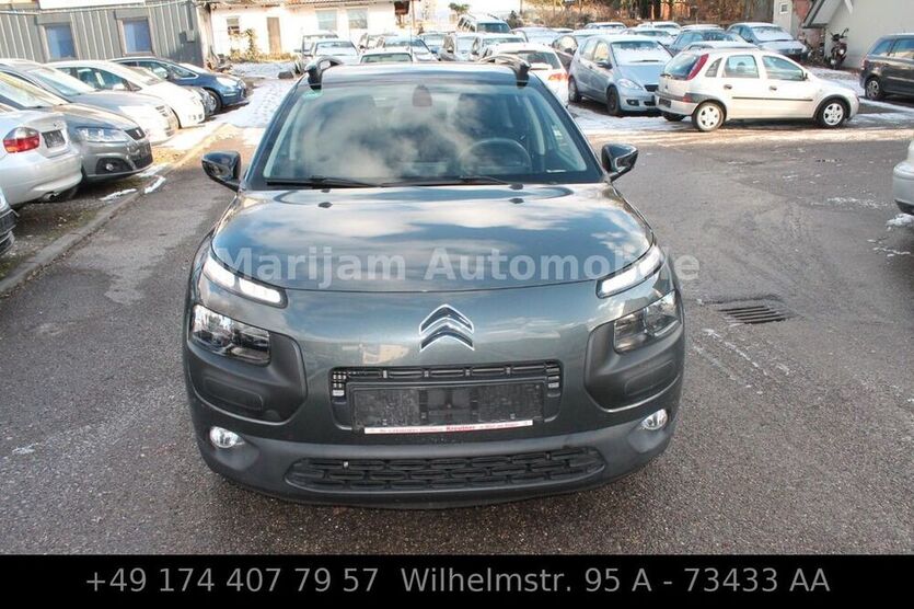 C4 Cactus