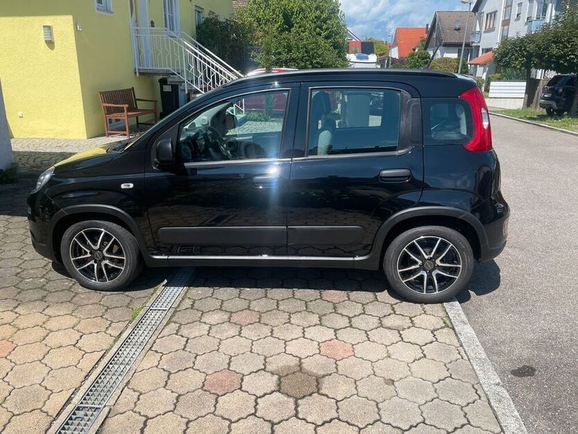 Panda