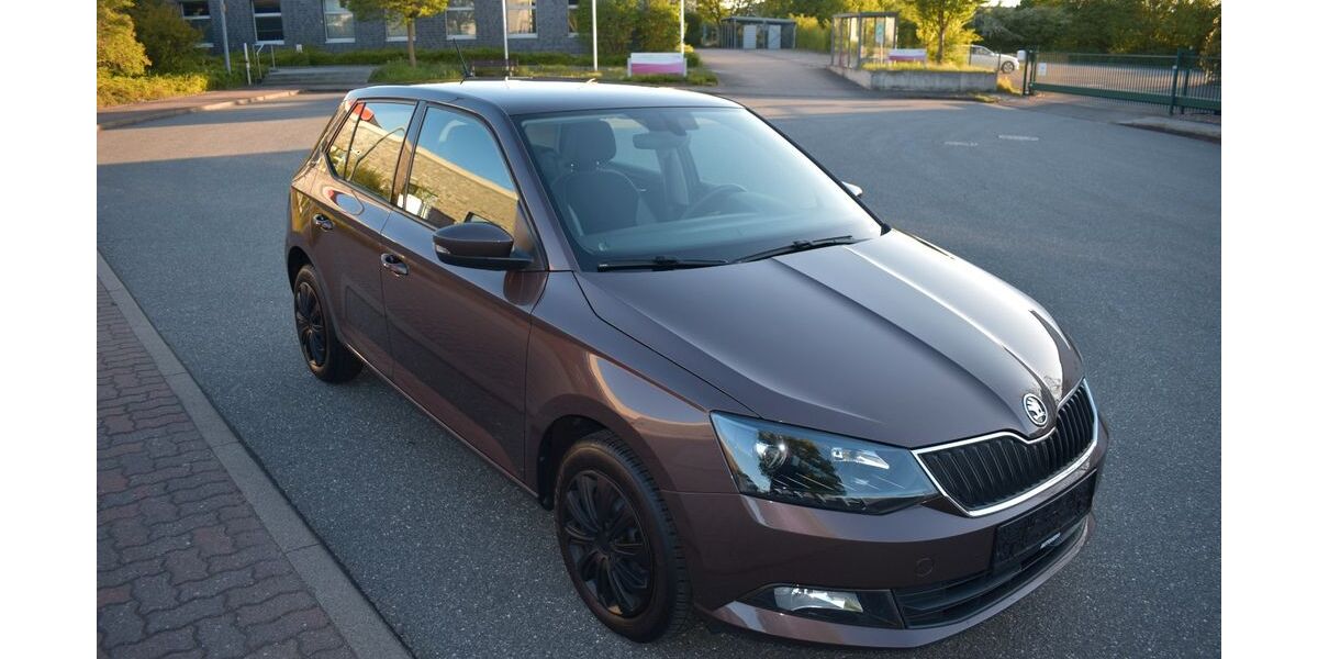 Skoda Fabia 113.600 km 7.990 &euro; Selmsdorf 23923