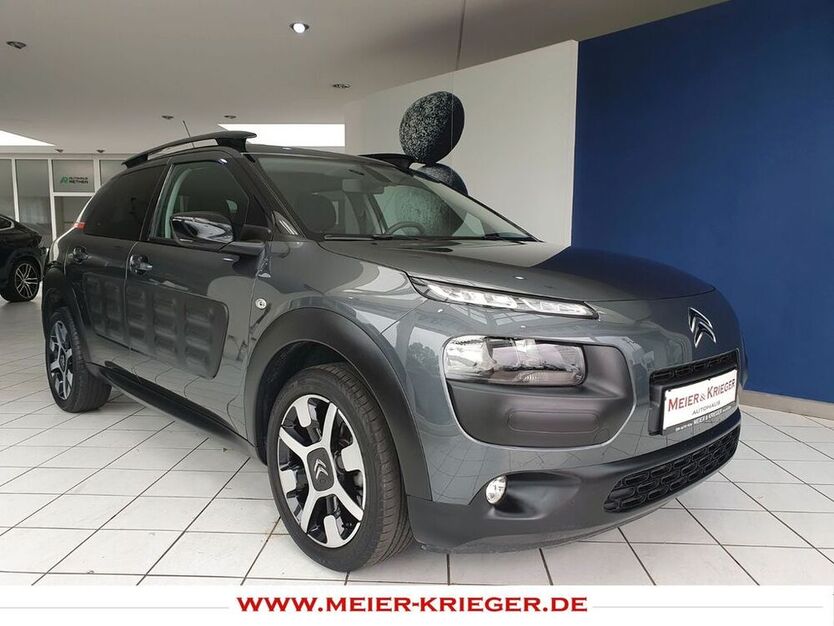 C4 Cactus