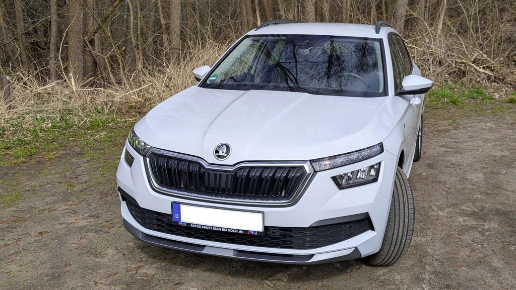 Skoda Kamiq 69.000 km 18.500 &euro; Birkenwerder 16547